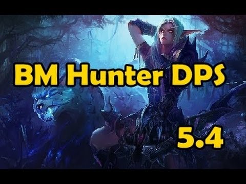 A Super Quick Guide to BM Hunter DPS 5.4