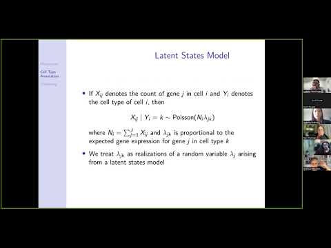 Probabilistic approaches to cell type annotation and clustering