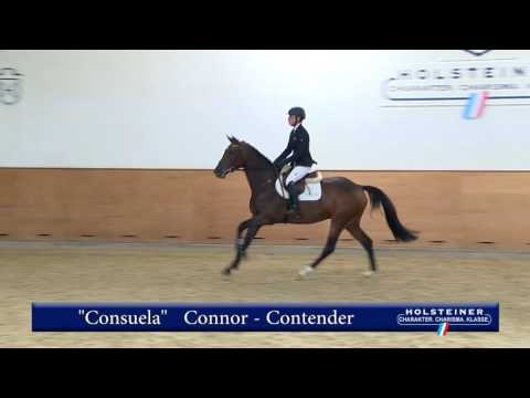 124. Consuela v. Connor - Contender