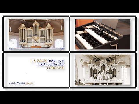J.S.Bach on E.F. Walcker (Ludwigsburg, 1858) – Sonata II, BWV 526  – 3 TRIO SONATAS | 3 ORGANS (2/3)