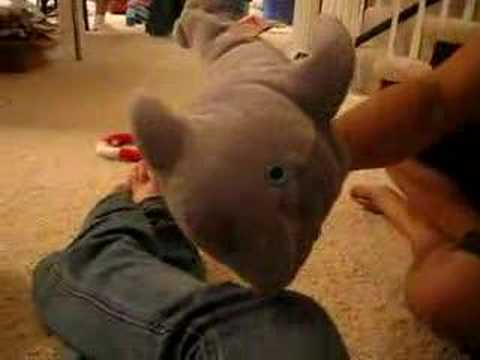 download lagu mp3 mp4 Dolphin Hand Puppet, download lagu Dolphin Hand Puppet gratis, unduh video klip Dolphin Hand Puppet