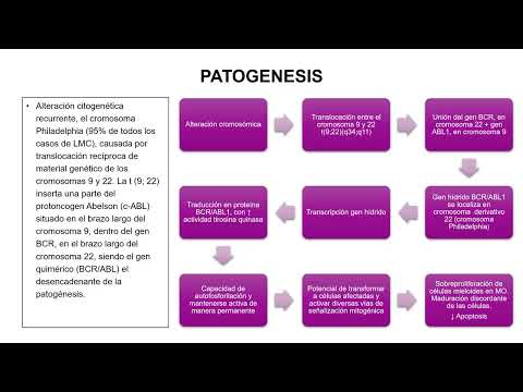 NEOPLASIAS MIELOPROLIFERATIVAS CRÓNICAS