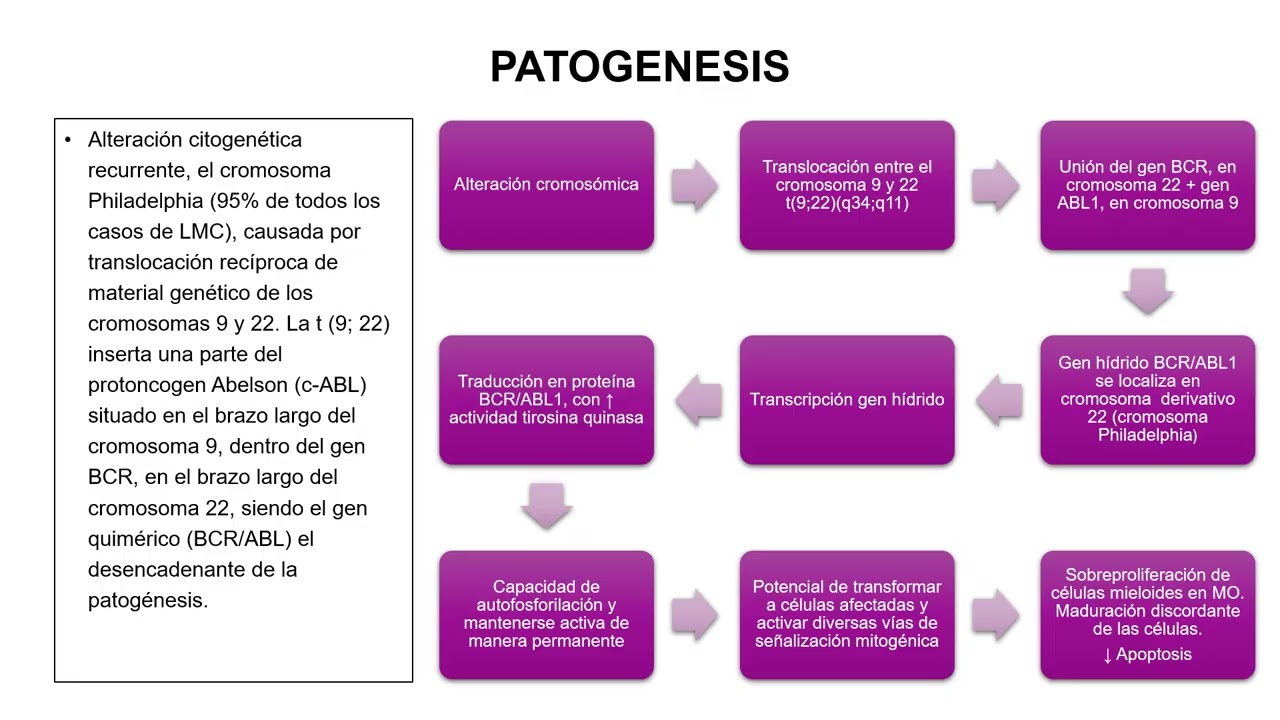 NEOPLASIAS MIELOPROLIFERATIVAS CRÓNICAS