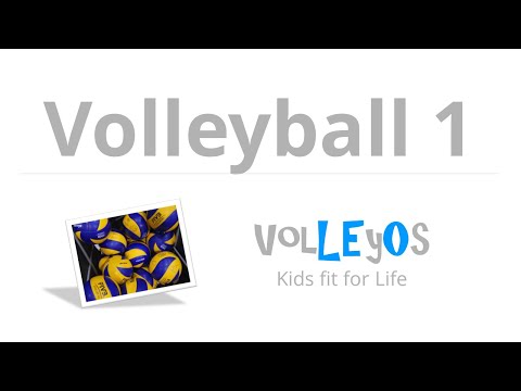 Volleyball - zu Hause, daheim, at home (1)