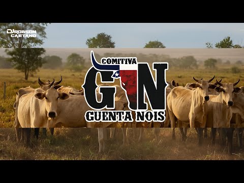 COMITIVA GUENTA NOIS – PARANACITY/PR