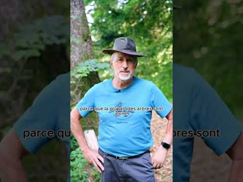 Miniature de vidéo YouTube