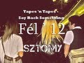 Fél '12 / sztomy / Tapes 'n Tapes - Say Back Something