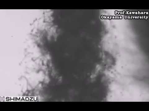 High-Speed Video Camera HPV-X2 – "1 mm from the nozzle"