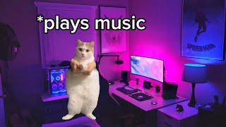Cat meme: can't sleep