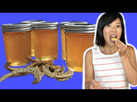Poor Man's Honey -- MESQUITE BEAN Jelly Recipe & Taste Test