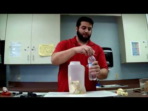 download lagu mp3 mp4 Apple Pear Water, download lagu Apple Pear Water gratis, unduh video klip Apple Pear Water