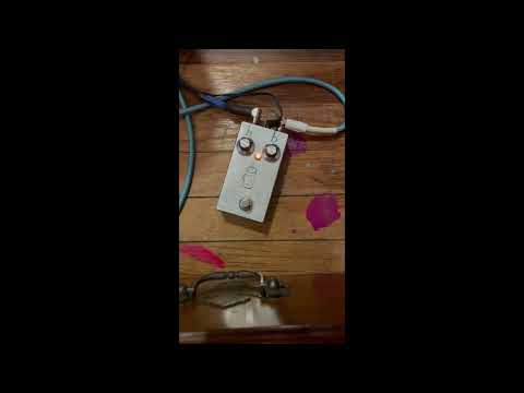 Dial-Up FX lil mug fuzz 2026 image 5