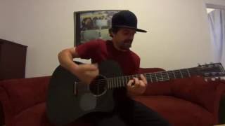 Feasting On The Flowers (The Red Hot Chili Peppers) acoustic cover by Joel Goguen