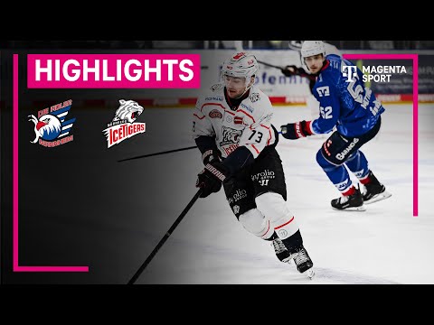 Adler Mannheim - Nürnberg Ice Tigers | PENNY DEL | MAGENTA SPORT