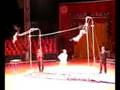 Trapeze Chimps
