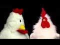 Baby Bach Chickens Side By Side 1998 Vs 2004
