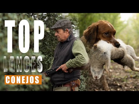 TOP Lances de Conejos