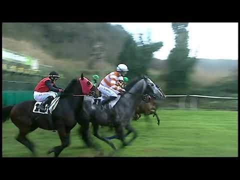 Galoppo 30/01/2021 - 5ª corsa