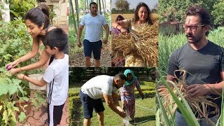 Aamir,Salman,Shilpa etc. Doing Farm Work during Relaxing at Farmhouse in Lockdown | Turns in Farmer
