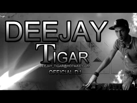 DeeJay Tigar Ft. Baja - Ljubav godine