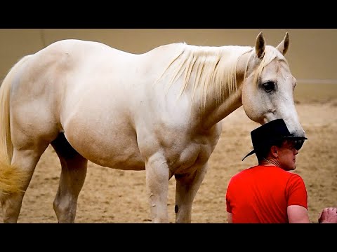 Honza Bláha - Liberty festival Kentucky -  part 4 -  Saturday Alltech arena