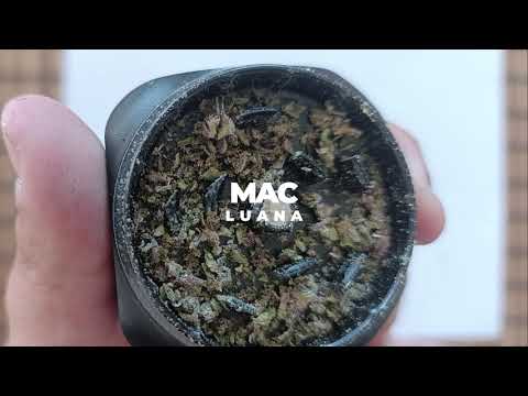 MAC LUANA: Miracle Alien Cookies exotische Genetik