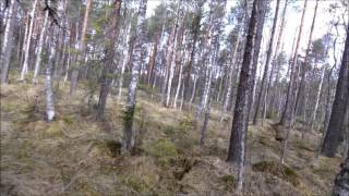 preview picture of video 'Pohjolan kurapyöräilijät Eestissä 2014 Suon ylitys'