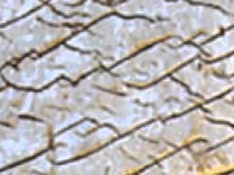 The Dashka Stone (Der Dashka-Stein)