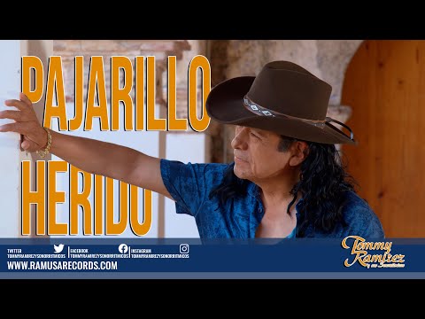 Pajarillo Herido - Tommy Ramírez y Sus Sonorritmicos (Official Video)