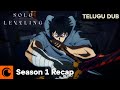 Solo Leveling Season 1 Recap TELUGU DUB
