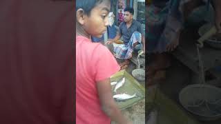 \\"মা ইলিশ সংরক্ষণ অভিযান-২০১৮\\" উপলক্ষে মাছ বাজার অভিযান পরিচালনা, চাটখিল, নোয়াখালী।