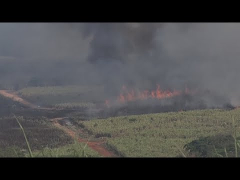 Incêndios castigam Floresta Estadual e canaviais em Rio Claro