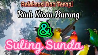 Download lagu MUSIK RELAKSASI SULING/DEGUNG SUNDA   KICAUAN BURUNG UNTUK SANTAI MENEMANI ISTIRAHAT ANDA mp3