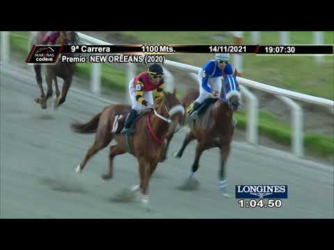 211114 c09 DON MADOUR (BRZ)