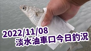 【淡水河釣魚】20221108淡水油車口今日釣況｜蝦皮愛釣魚 @ScienceFishing @hsueh_fishing