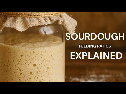 When & How to Feed Your Sourdough Starter (Beginner-Friendly Guide!)
