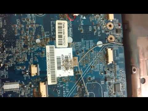 Formigas invadem Notebook... Mantenha-o limpo!!