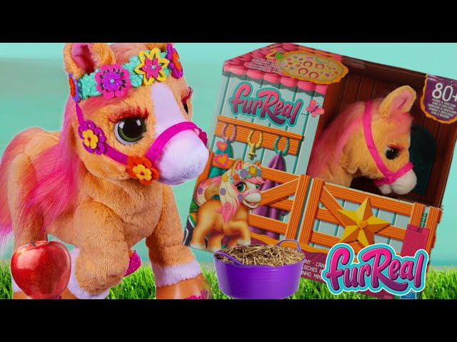 Vídeo relacionado con Lithyc Peluche Pony Arcoíris Simpático de 20 cm, Caballo de Peluche, Juguete para Niñas, Interesante Regalo de Caballo Acolchado
