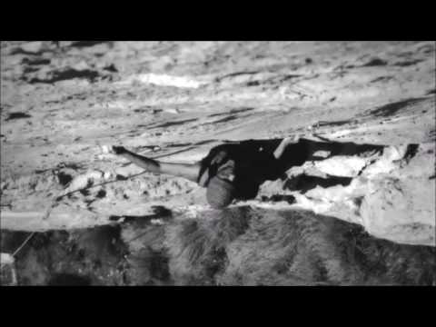 Manolo - Verticalmente Dèmodè