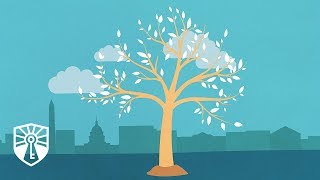 Click to play: Regulation & the American Dream