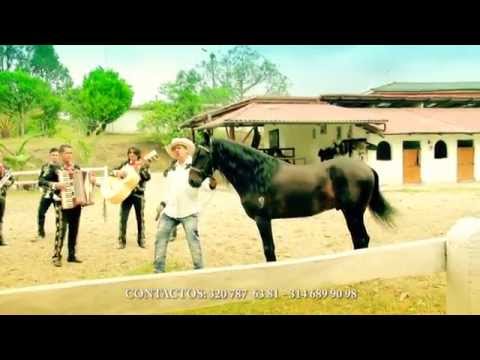 DESPECHADO Y QUE - FRED ANTONY - (VIDEO OFICIAL)