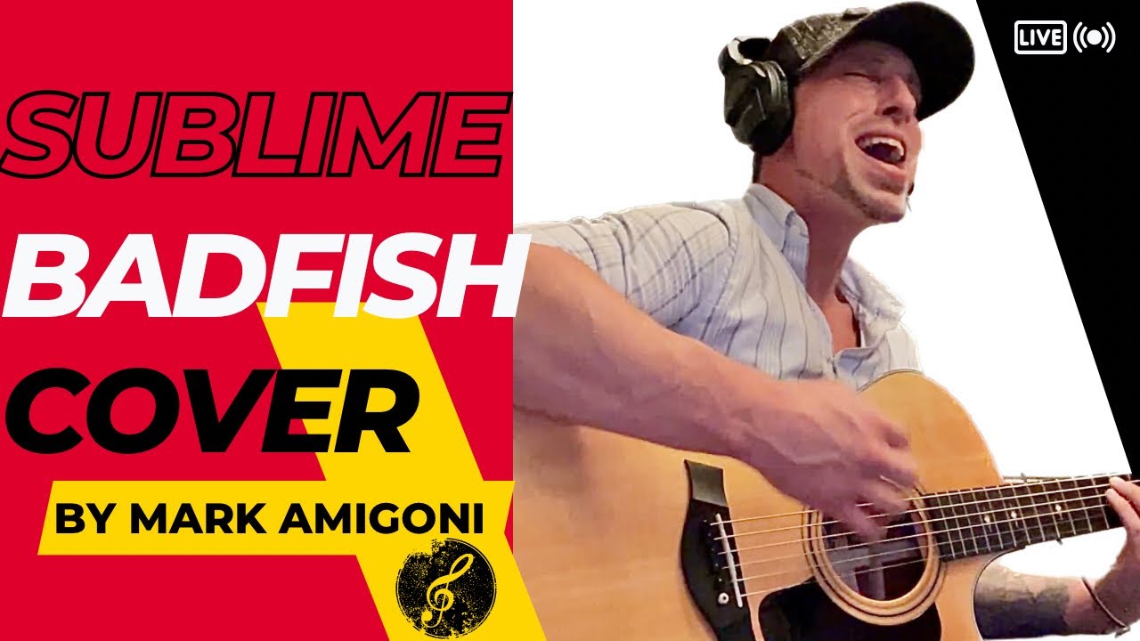 Promotional video thumbnail 1 for Mark Amigoni