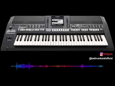 Armonik Org Horon 2020 (Piyanist K.Can)