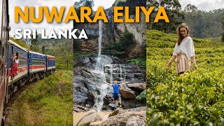 Scenic Train Ride & Exploring Tea Fields in Nuwara Eliya | SRI LANKA SERIES