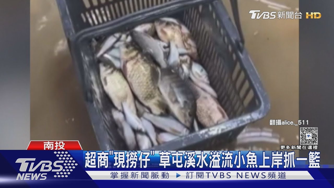 南投草屯超商變魚市場?「一籃小魚」畫面驚人