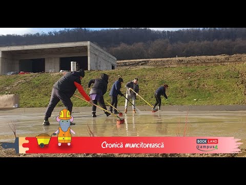 Cronica muncitoreasca (ziua 347)