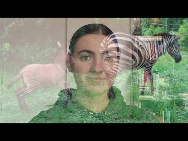 Chrysanthe の発音の仕方 Howtopronounce Com