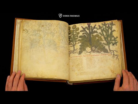 THE DIOSCORIDES NEAPOLITANUS - Browsing Facsimile Editions (4K / UHD)