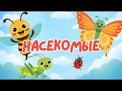 Насекомые для детей | Учим насекомых | Развивающее видео