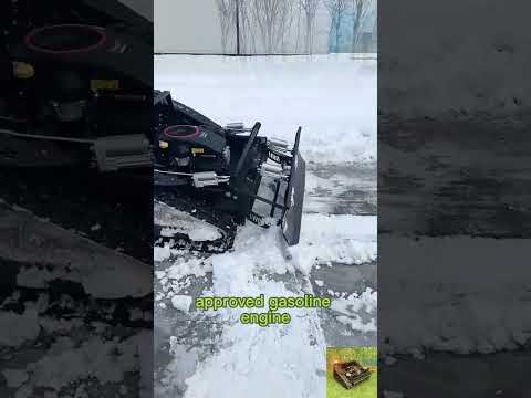 Gdje kupiti Vigorun VTLM800 bežični gusjenični rezač korova online